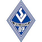 Waldhof Mannheim (วอลฮอฟ แมนเฮล์ม)